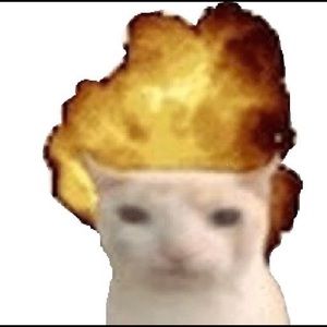 Meet your Posher, Hailey